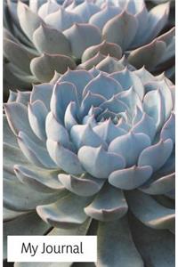 My Journal