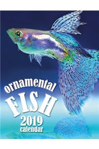 Ornamental Fish 2019 Calendar