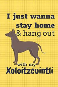 I just wanna stay home & hang out with my Xoloitzcuintli