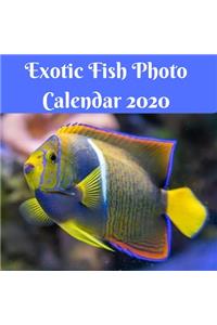 Exotic Fish Photo Calendar 2020