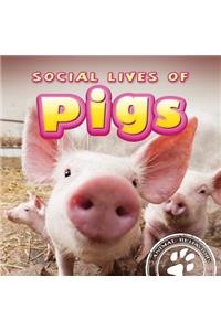 Social Lives of Pigs