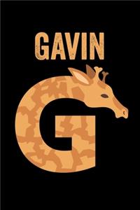 Gavin