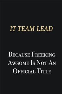 IT team lead Because Freeking Awsome is not an official title