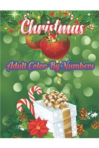 Christmas Adult Color By Numbers