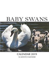 Baby Swans Calendar 2019