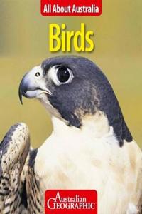 All About Australia: Birds