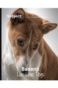 Basenji - Live Love Dogs!