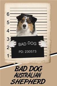 Bad Dog Australian Shepherd
