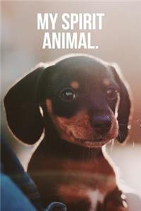 My Spirit Animal