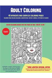 Adult Coloring (40 Complex and Intricate Coloring Pages)