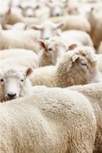 A Big Flock of Sheep Journal
