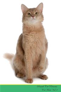 Somali Cat Presents