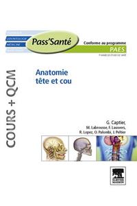 Anatomie Tête Et Cou (Cours + Qcm)