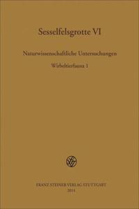 Sesselfelsgrotte VI