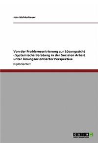 Systemische Beratung in der Sozialen Arbeit. Von der Problemzentrierung zur Lösungssicht