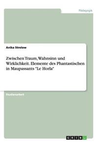 Zwischen Traum, Wahnsinn und Wirklichkeit. Elemente des Phantastischen in Maupassants 
