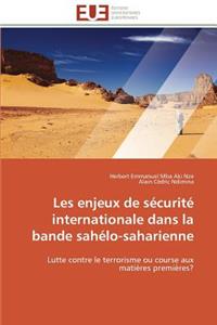 Les Enjeux de Sécurité Internationale Dans La Bande Sahélo-Saharienne