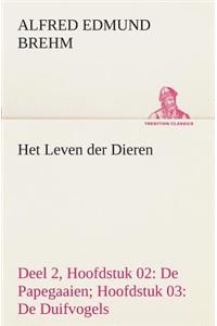 Het Leven der Dieren Deel 2, Hoofdstuk 02