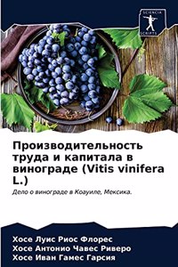 Производительность труда и капитала в вин