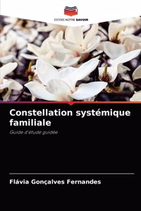 Constellation systémique familiale