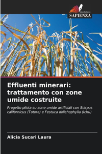 Effluenti minerari
