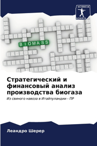 Стратегический и финансовый анализ прои