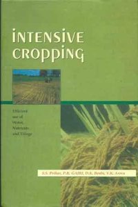 Intensive Cropping :Efficient use of Water, Nutrients and Tillage