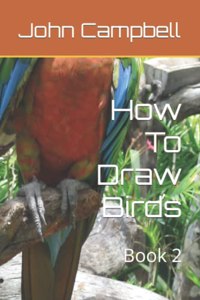 How To Draw Birds