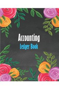 Accounting Ledger Book