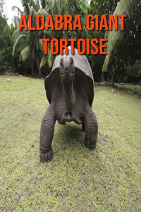 Aldabra Giant Tortoise