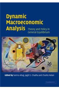 Dynamic Macroeconomic Analysis