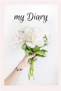 my Diary