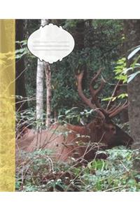 Cute Bull Elk in the Smoky Mountain National Park Wildlife Photograph College-ruled Lined School Composition Notebook