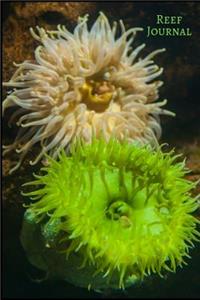 Reef Journal