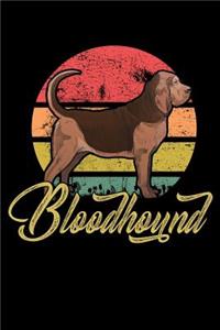 Bloodhound