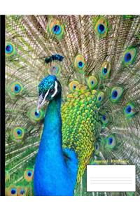 Journal - 100 pages