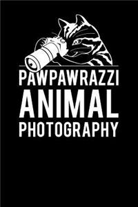 Pawpawrazzi Animal Photography