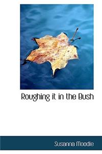 Roughing it in the Bush
