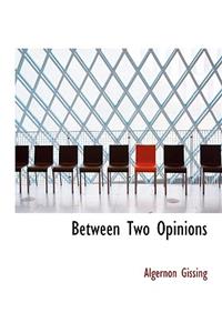 Between Two Opinions