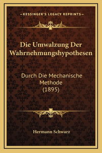 Die Umwalzung Der Wahrnehmungshypothesen
