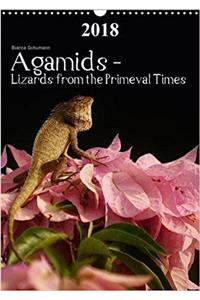 Agamids - Lizards from the Primeval Times 2018