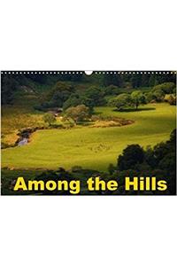 Among the Hills 2018