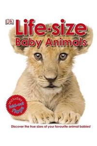 Life-Size Baby Animals