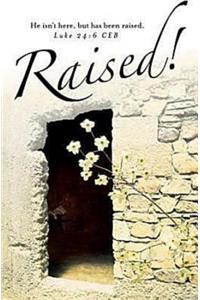 Raised! Easter Dogwood Bulletin 2012, Regular Size (Package of 50)