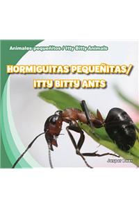 Hormiguitas Pequeñitas / Itty Bitty Ants