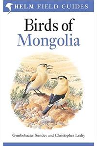 Birds of Mongolia