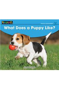 What Does a Puppy Like? Leveled Text