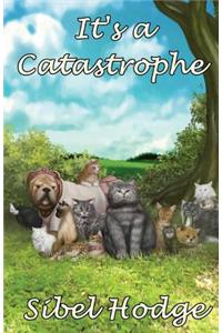 It's a Catastrophe