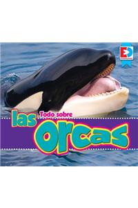 Todo Sobre Las Orcas