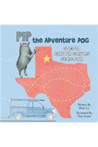 Pip the Adventure Dog Goes to Caprock Canyons State Park